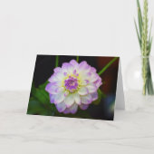 ダリアエヴリン空白のグリーティングカード カード (正面)