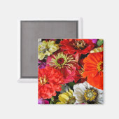 ダリアカラフルフラワーマグネット マグネット (正面/裏面)