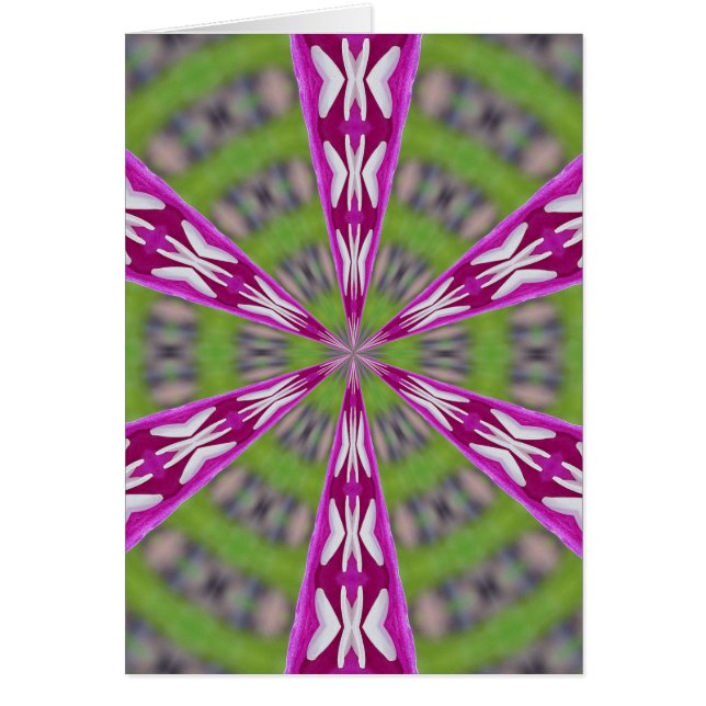 ダリアカリーディスコップ (正面)