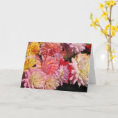 ダリアカードの豊富さ カード (黄色い花)