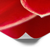 ダリアクローズアップ ポスター (角)