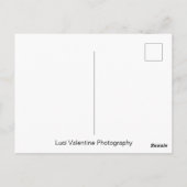 ダリアコッキネア ポストカード (裏面)