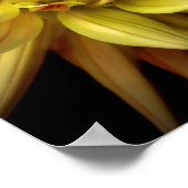 ダリアコロナイエロー ポスター (角)