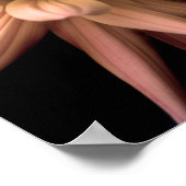 ダリアコロナクリーム ポスター (角)