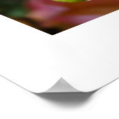 ダリアスのポスター ポスター (角)