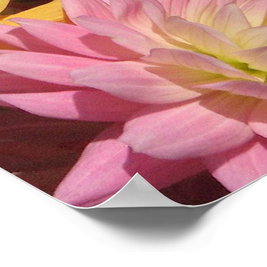 ダリアスの氾濫 ポスター (角)