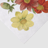 ダリアスオレンジホワイトイエローレッドフラワーフローラ 薄葉紙 (詳細)