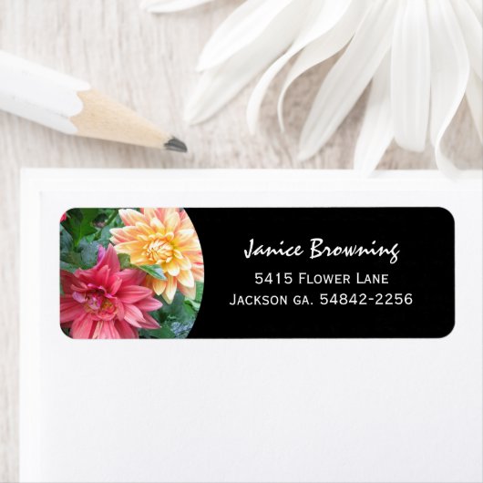 ダリアス住所 シール (インサイチュ)