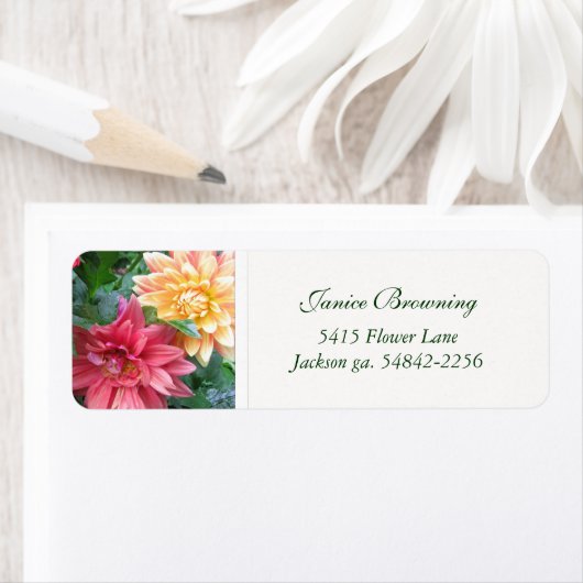 ダリアス住所 シール (インサイチュ)