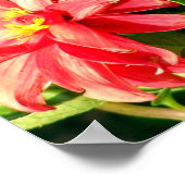 ダリアス写真ポスター/プリント ポスター (角)