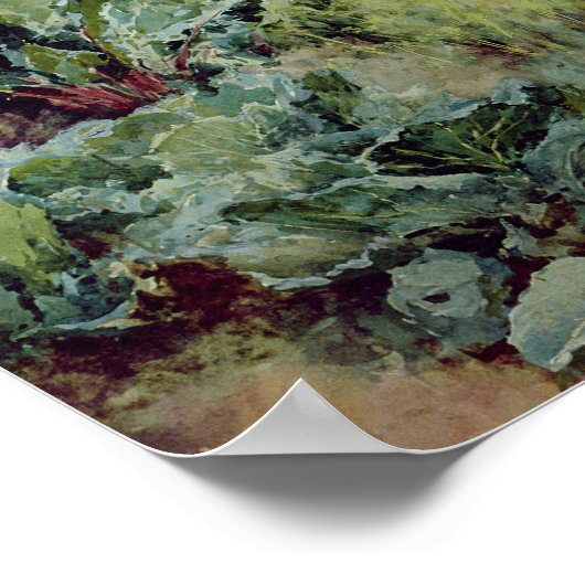 ダリアス、1896年 ポスター (角)