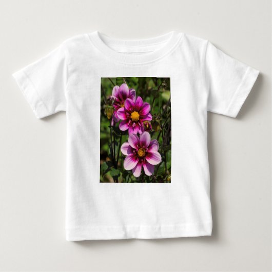 ダリアトリオ ベビーTシャツ (正面)