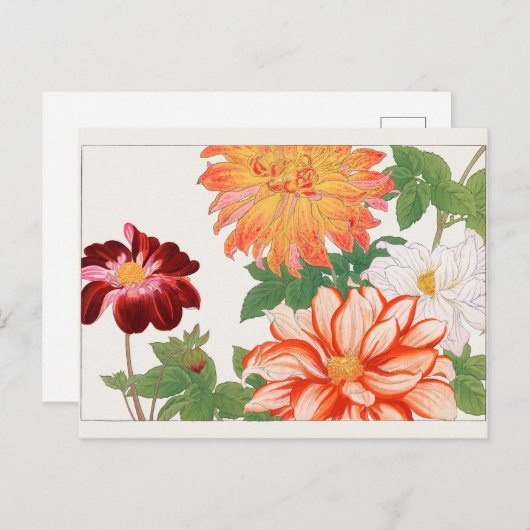 ダリアバイタニガミ湖南 ポストカード (正面/裏面)