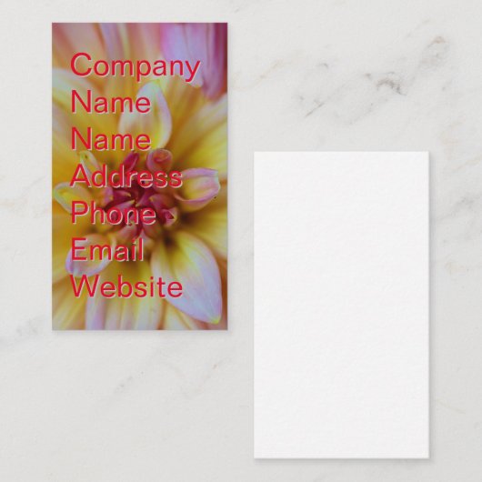 ダリアバド 名刺 (正面/裏面)