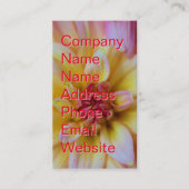 ダリアバド 名刺 (正面)