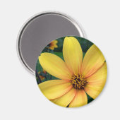 ダリアビショップオブヨーク マグネット (正面/裏面)