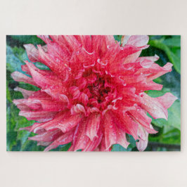 ダリアピンクカナダフラワー写真 ジグソーパズル