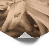 ダリアフラワークローズアップヴィンテージセピア ポスター (角)