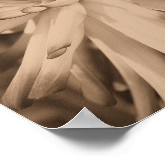 ダリアフラワークローズアップヴィンテージセピア ポスター (角)