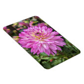 ダリアフラワーフォトマグネット マグネット (右側)