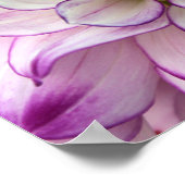 ダリアポスター ポスター (角)