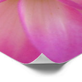 ダリアポスター ポスター (角)