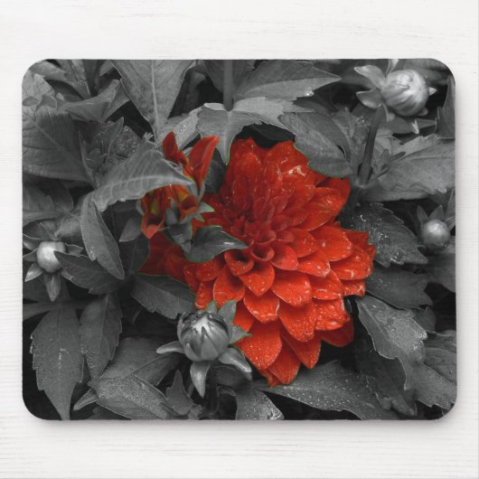 ダリアマウスパッド マウスパッド (正面)