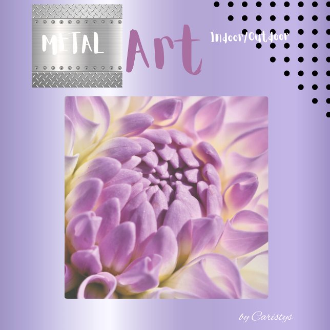 ダリアマウヴ開花メタルプリント メタルプリント (クリエイターアップロード済み)