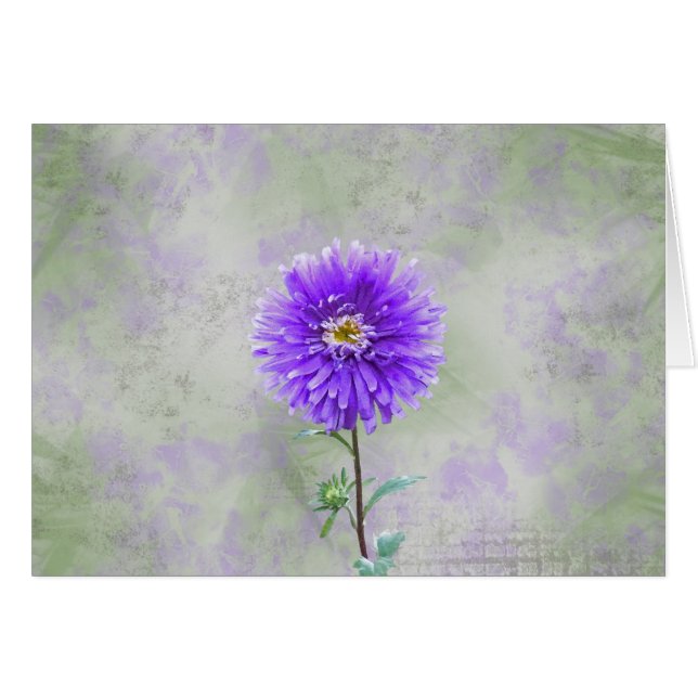 ダリア独身の (正面横)