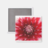 ダリア磁石 マグネット (正面/裏面)