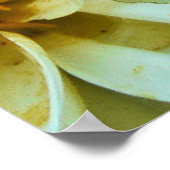 ダリア花びら ポスター (角)