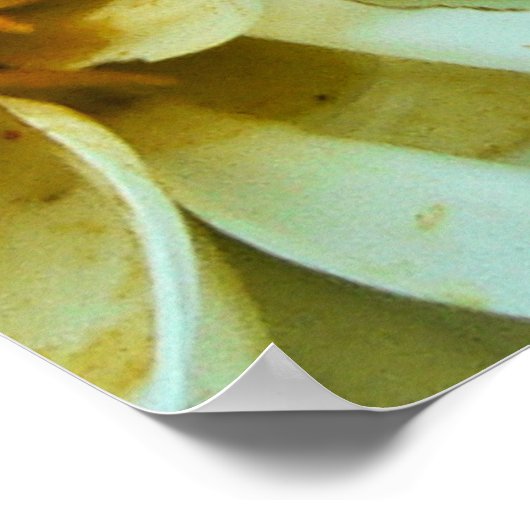 ダリア花びら ポスター (角)