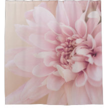 ダリア花ピンククリームとフローラ