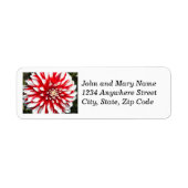 ダリア赤と白フローラ差出人住所 ラベル (正面)