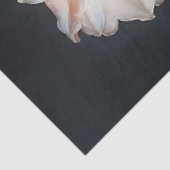 ダリア開花ボタニカル絵を描ズ・デコパージュ 薄葉紙 (詳細)