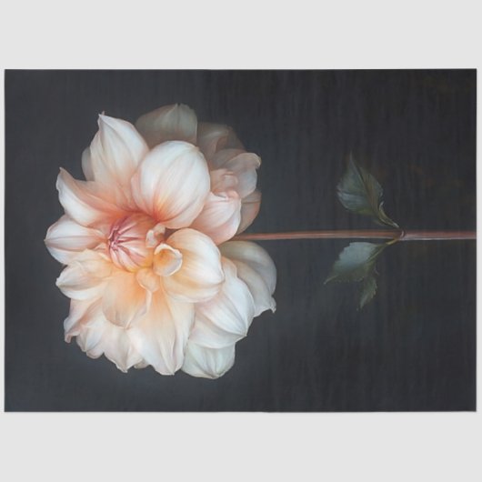 ダリア開花ボタニカル絵を描ズ・デコパージュ 薄葉紙 (正面)