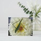 ダリア1 – 教育用ブラインファルト ポストカード (スタンド正面)