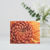 ダリア – はがき (スタンド正面)