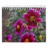 ダリア カレンダー (カバー)