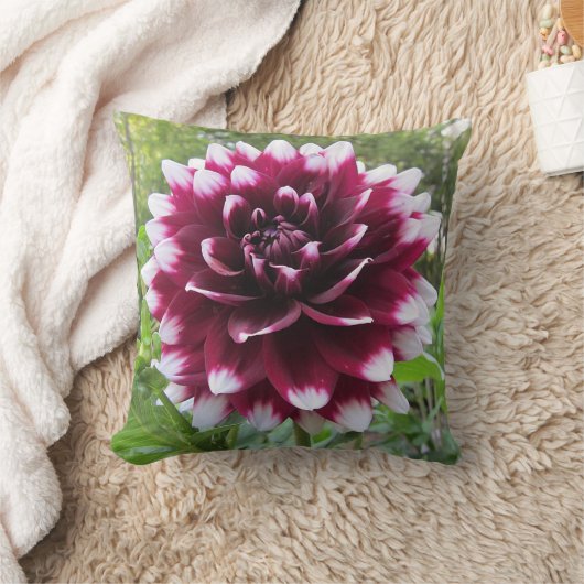 ダリア クッション (ブランケット)