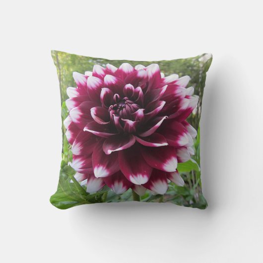 ダリア クッション (正面)