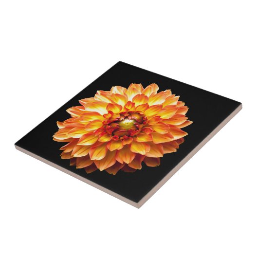 ダリア タイル (側面)