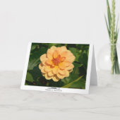 ダリア「ダビッドハワード」(縁ど) カード (裏面)