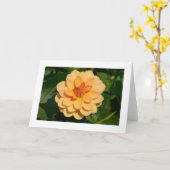 ダリア「ダビッドハワード」(縁ど) カード (黄色い花)