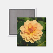 ダリア「ダヴィッドハワード」 マグネット (正面/裏面)