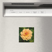 ダリア「ダヴィッドハワード」 マグネット (インサイチュ (食洗機))