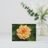 ダリア「ダヴィッドハワード」 名刺 (スタンド正面)