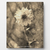 ダリア フォトプラーク (正面)