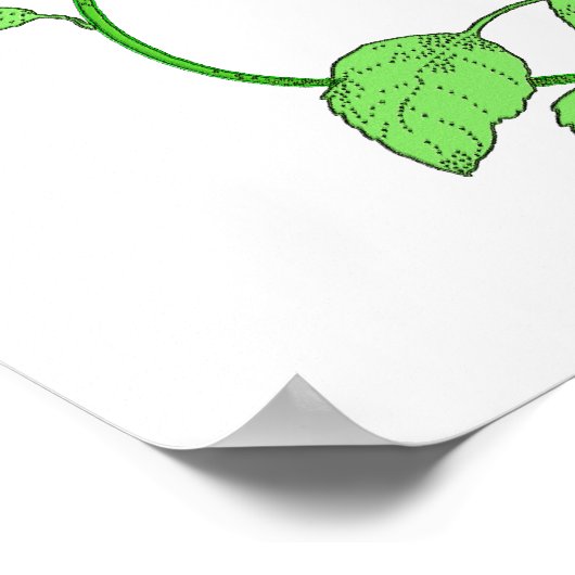 ダリア ポスター (角)