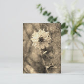 ダリア ポストカード (スタンド正面)